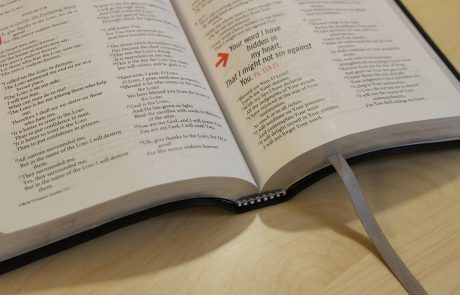 ה' רועי לא אחסר'- שיחות בספר תהלים